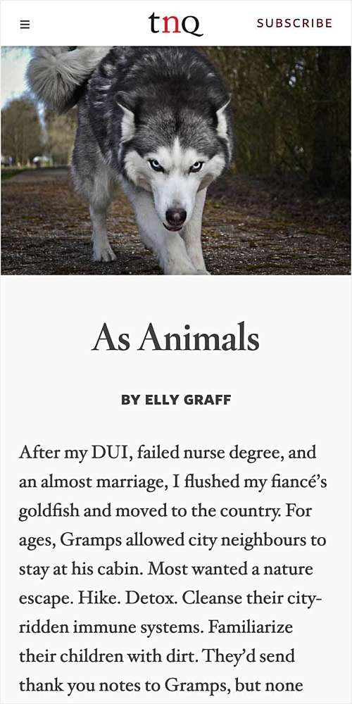 Tnq ca story as animals