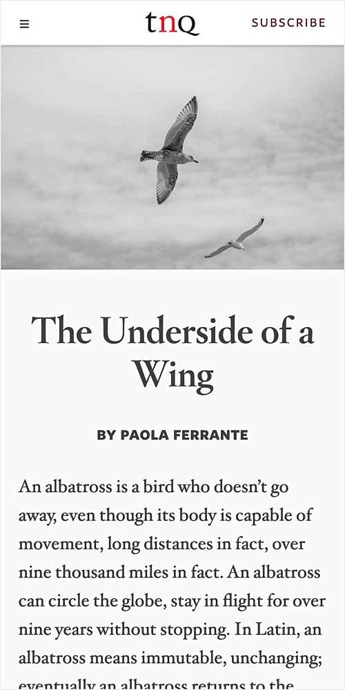 Tnq ca story the underside of a wing